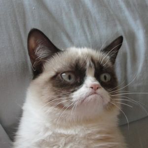 Meet your Posher, Linda